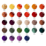 Fall Palette 28 Colors Gel Nail Polish Kit  MODELONES 