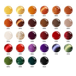 Golden Hour 28 Colors Gel Nail Polish Kit  MODELONES 