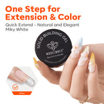 Solid Builder Gel Kit with Gold & Silver Chrome Powder Solid Builder Gel MODELONES 