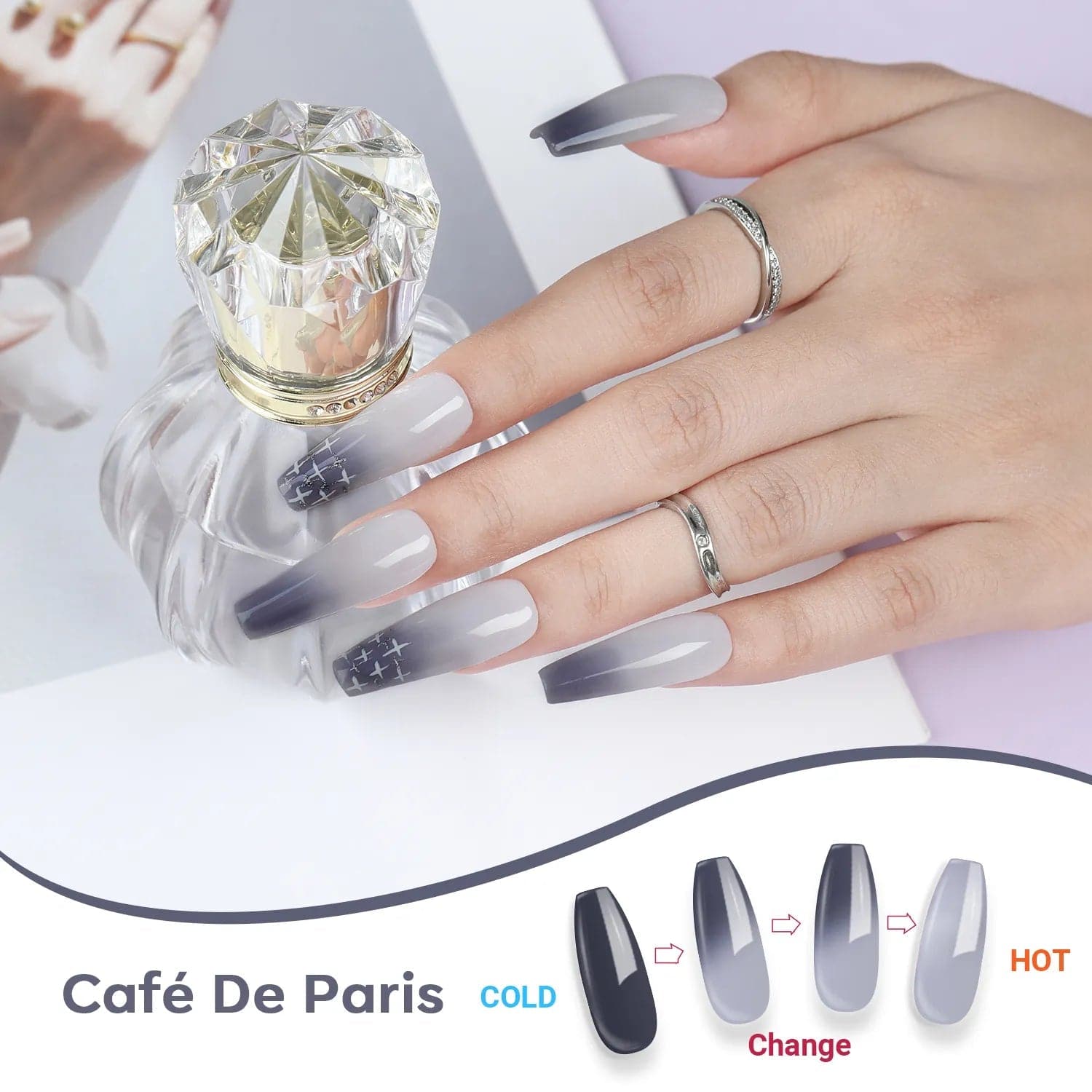 Café De Paris - Thermal Dipping Powder (0.42 Oz) - MODELONES.com